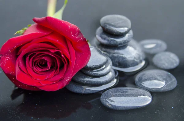 Pembe gül ve gri arka planda siyah çiçek olan spa taşları