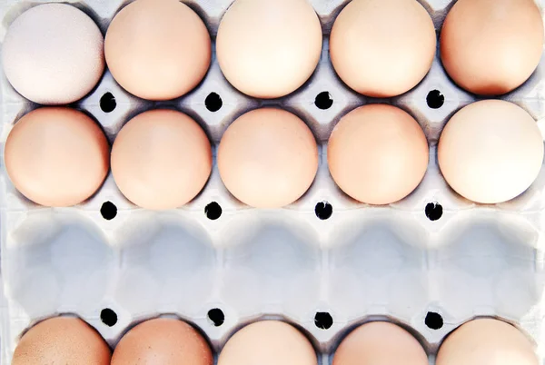 Eggs Carton Box — Stock Photo, Image