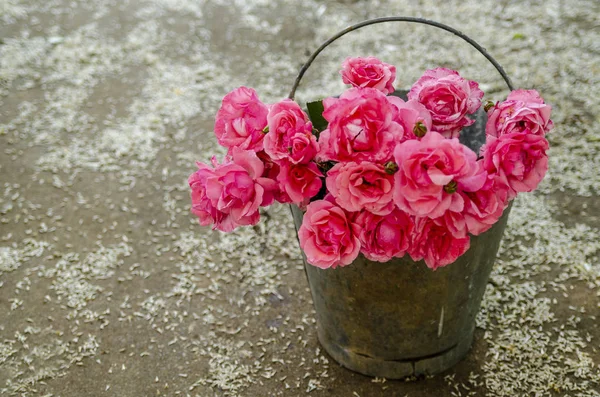 Beautiful Bunch Pink Roses Old Metal Bucket Concrete Floor Copy — Stock Photo, Image