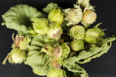 Siyah arka planda taze yeşil Brüksel lahanası