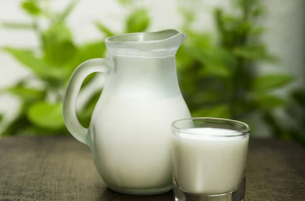 Bebek için bir sürahi süt ve toz süt. Bardakta kurumuş süt ve sıvı süt..