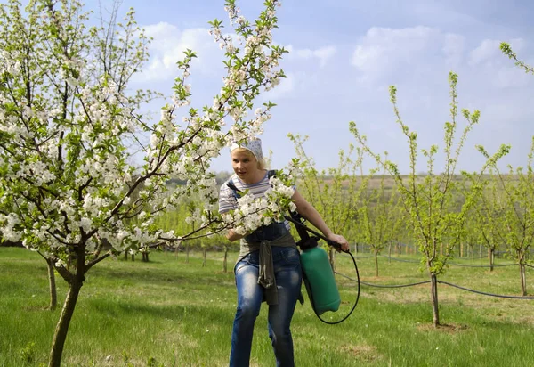 Mujer Feliz Regando Manzana Jardín — Foto de Stock