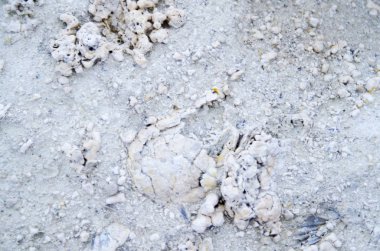 Doğal kaya arkaplan dokusundan gri beyaz taş. Yıpranmış kaba doku yüzeyi ayrıntıları yakın.