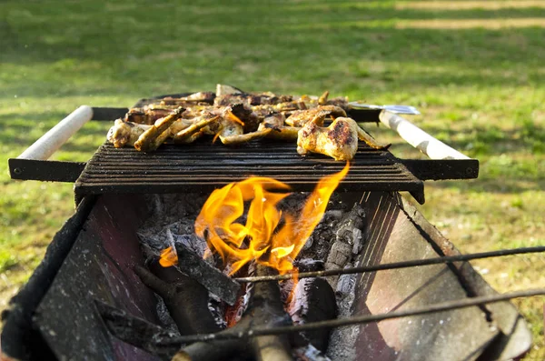 Fleisch Auf Dem Grill — Stockfoto