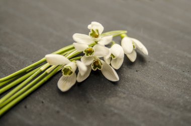 Çiçekler arka planda, Aziz Valentine konsepti 