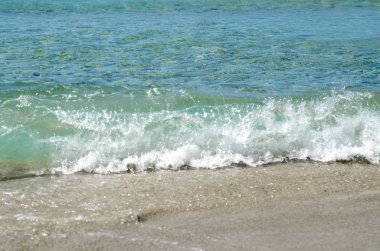Sahilde deniz dalgaları