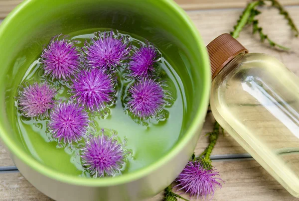 Xícara Chá Ervas Com Flores — Fotografia de Stock