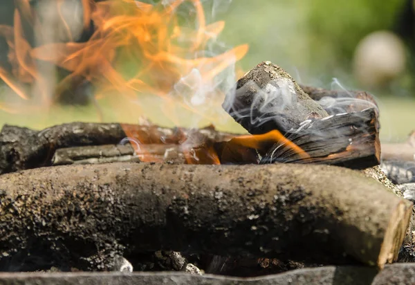 Brûler Bois Chauffage Dans Forêt — Photo