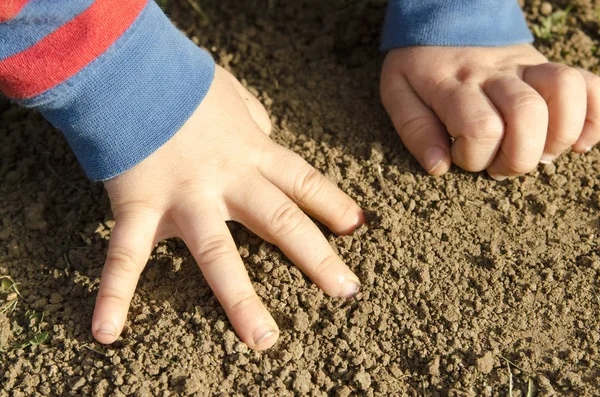 hands holding soil with dirt