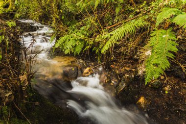 Hareketli Suda İpek Efekti