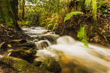Hareketli Suda İpek Efekti
