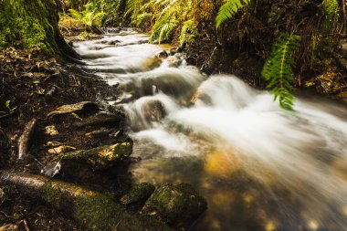 Hareketli Suda İpek Efekti