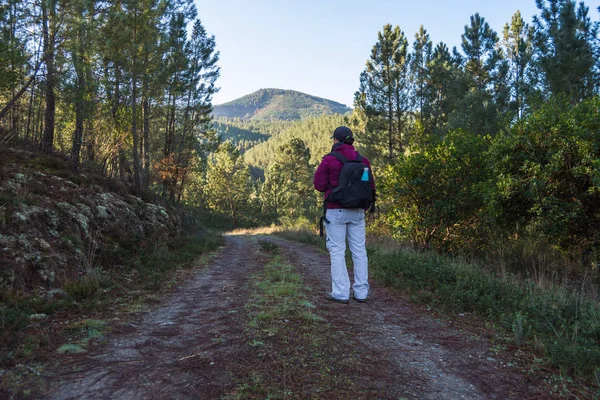 back of woman with black backpack standing on dirt road in the forest
