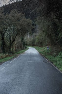 Kış manzarasında asfalt yol