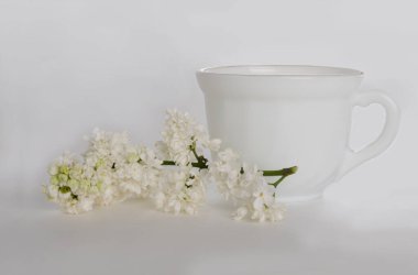 Beyaz seramik kupa ve beyaz arka planda beyaz leylak filizi