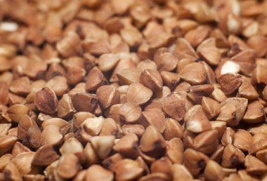 Karabuğday tanecikleri yakın çekim