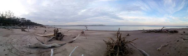 Панорамний Вид Пляжу Big Talbot Island State Park — стокове фото