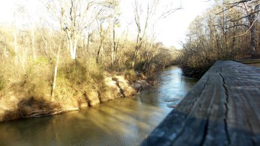 Sarı Nehir Parkı, Georgia