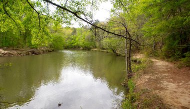 Georgia, baharda yağmurlu bir gün.