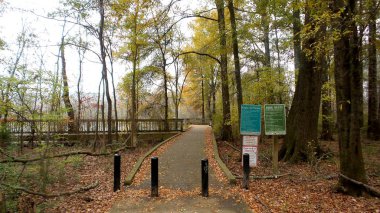 Anayasa Göl Kaldırımı Sonbaharda