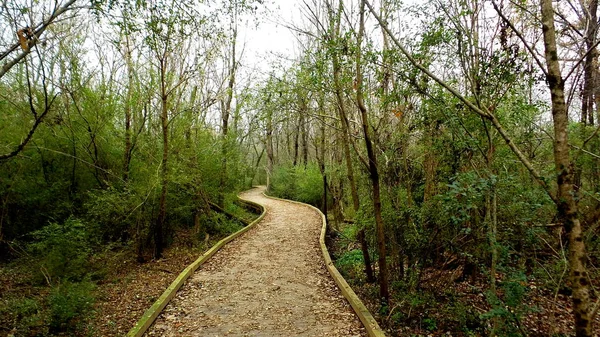 Constitution Lakes Boardwalk Woods — Stock Photo, Image