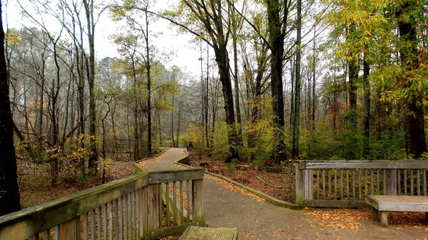 Constitution Lakes Boardwalk Fall 로열티 프리 스톡 사진