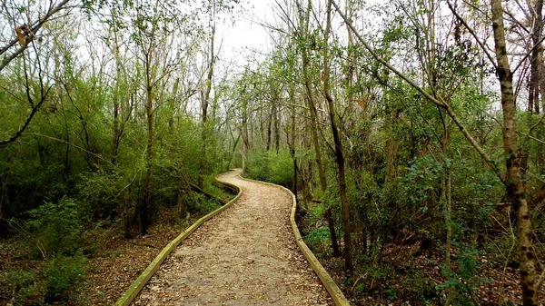 Constitution Lakes Boardwalk Woods 스톡 사진