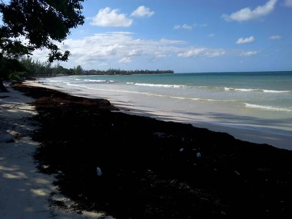 Good Hope Beach Falmouth Trelawny Jamaika — Stockfoto