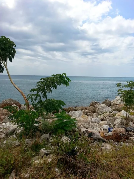 Вид Карибське Море Ганновері Ямайка — стокове фото