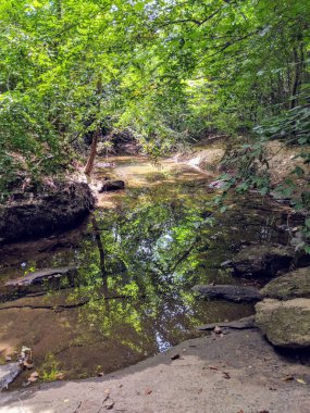 Atlanta, Georgia 'da yürüyüş parkurunda.