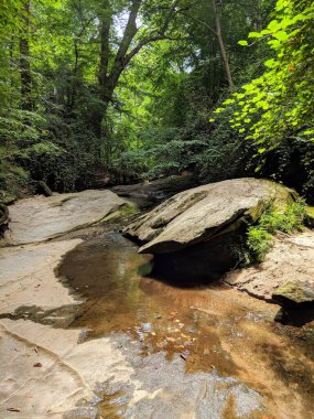 Atlanta, Georgia 'da yürüyüş parkurunda.