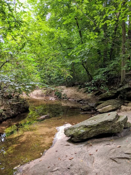 Atlanta, Georgia 'da yürüyüş parkurunda.