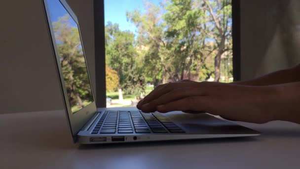 Osoba Pisząca Laptopie Tle Jest Okno Oknie Drzewa — Wideo stockowe