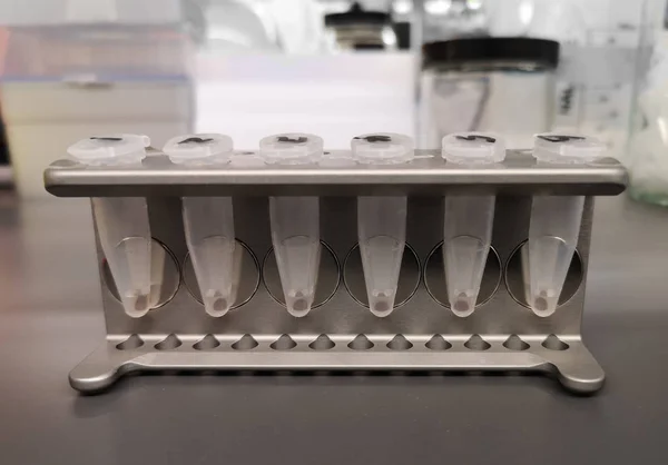 Manyetik boncuklarla DNA arındırma