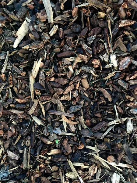 森の地面に茶色の木のチップ — ストック写真