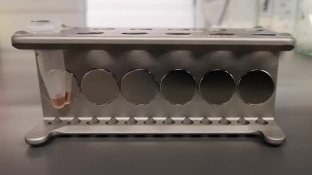 用磁珠提纯Dna 磁性机架中的管子 实验室视频技术 它已经展示了磁珠是如何朝向机架上的磁铁运动的 — 图库视频影像