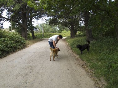 İki köpeği olan genç adam, kahverengi olanı okşuyor ve siyah labrador onlara bakıyor.