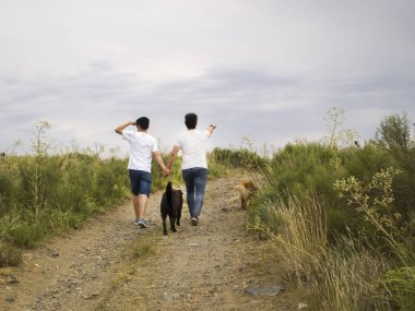 Young homosexual couple walking by the hand with two dogs clipart