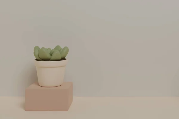 多肉植物3Dデザイン パステルカラー 3Dレンダリング — ストック写真