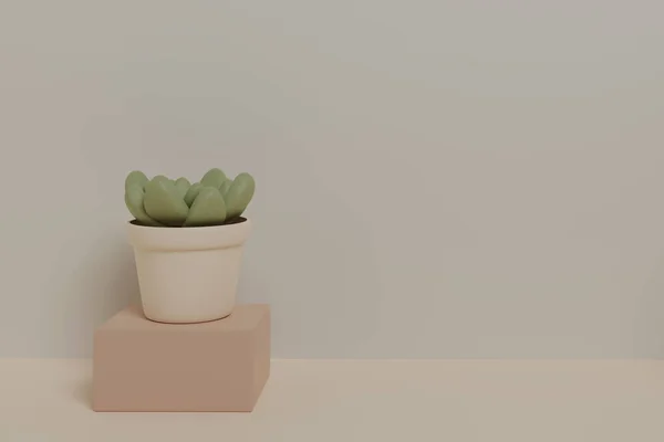 Succulent Növény Design Pasztell Színek Renderelés — Stock Fotó