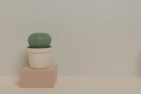 Kaktus Design Pastelowe Kolory Renderowanie — Zdjęcie stockowe