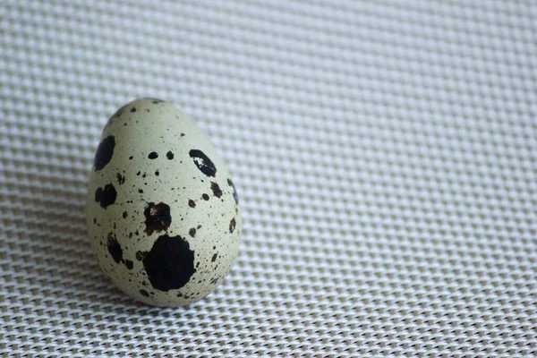 Перепелині Яйця Фон Декоративний — стокове фото