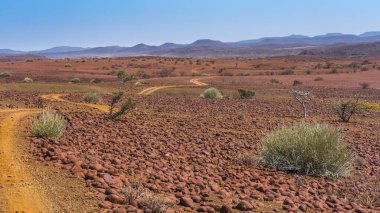 Afrika 'da Namibya' da süt çalılarıyla Palmwag imtiyaz bölgesinin manzarası.