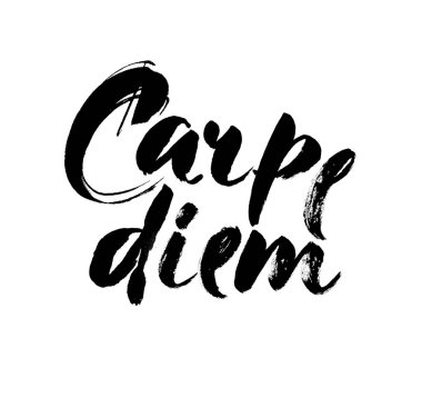 Carpe diem. El-harflerle beyaz arka plan üzerinde izole bir fırça ilham alıntı kullanarak. Vektör Hat sanatı.