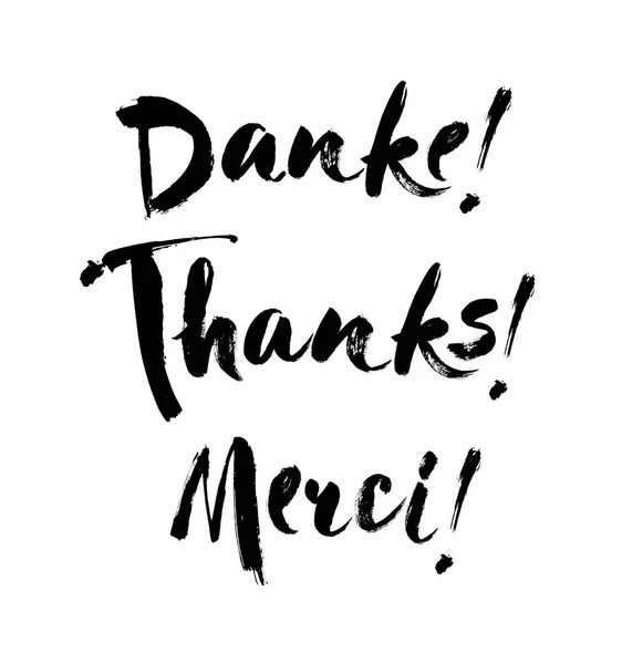 Danke Schriftzug in Englisch, Französisch, Deutsch danke, merci, danke handgezeichnete Vektor-Phrase. Handgeschriebene moderne Pinselkalligrafie für Einladung und Grußkarte — Stockvektor