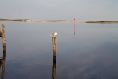 Dnemark im Hafen von Marstall 'da Abendstimung.