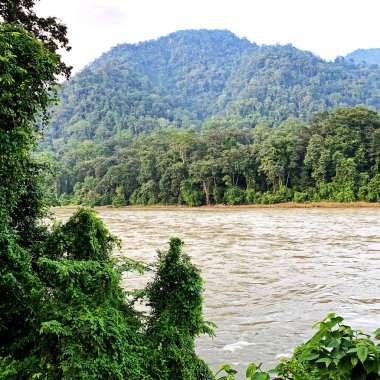 Dağlı, ağaçlı ve önünde bir nehir olan manzara. Beau.