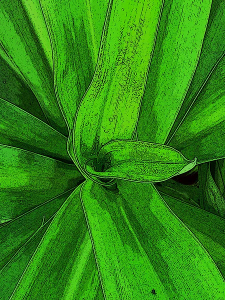 Comic book drawing of  Tropical  green leaves background. Exotic — Stock Photo, Image