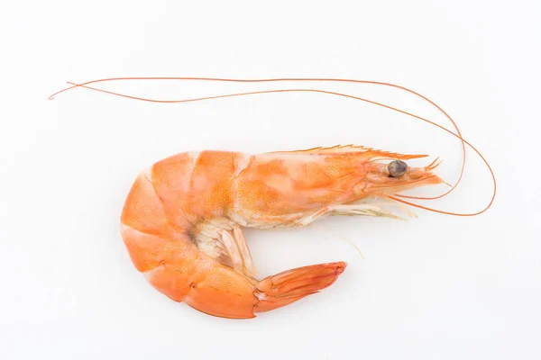Foodshrimps. Beyaz arka plan üzerinde izole karides. Deniz ürünleri