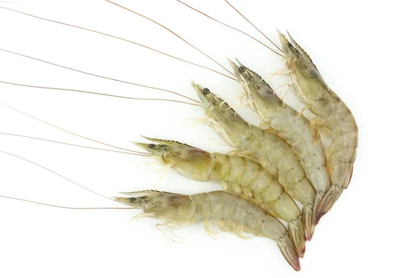Crevettes crues isolées sur fond blanc — Photo